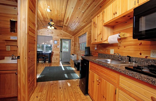 Spring Mills Cabin | Deluxe Cabin 71 w/4 Beds