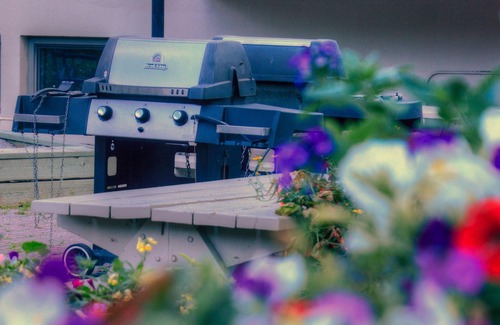 Banff Condo | Deluxe Condo + Loft | See Wildlife through window!