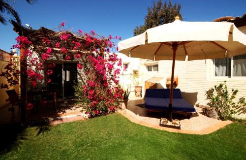 Dahab Apartment | Deluxe Seahorse Apartment - Lagoon Villa