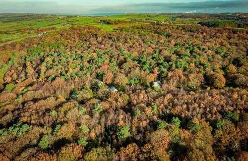Farley House | Denstone, woodland lodge with hot tub for 8