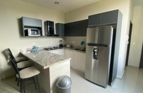 Las Gaviotas Apartment | Departamento en renta en Zona Dorada