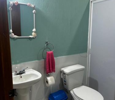 Chapala Centro Apartment | Departamentos colibri y tortuga