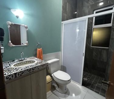 Chapala Centro Apartment | Departamentos colibri y tortuga