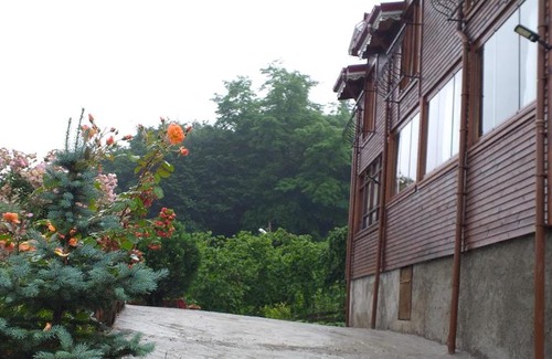 Akcaabat Villa | Dere içi villa