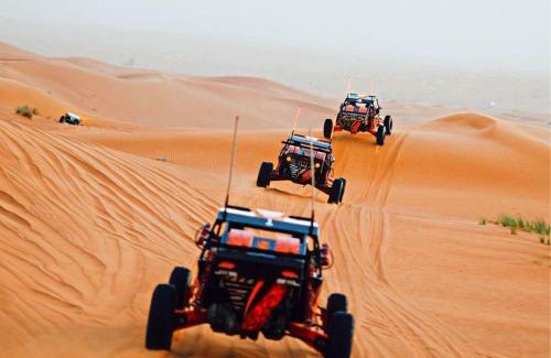 Bidiya Other | Desert Heart