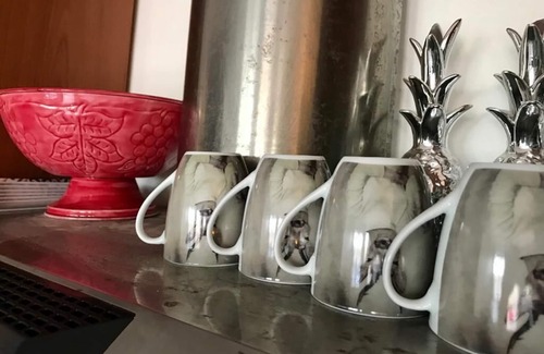 Torvaianica Apartment | Designer apartment with private sea access 20 minutes from Rome