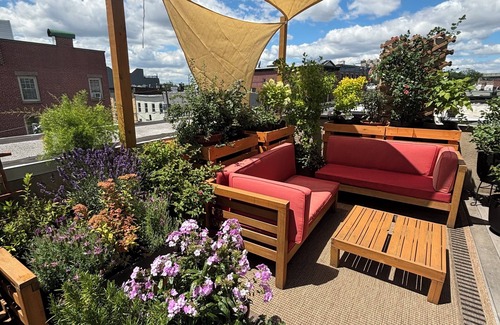 Historic Downtown Apartment | Designer Loft with Private Terrace