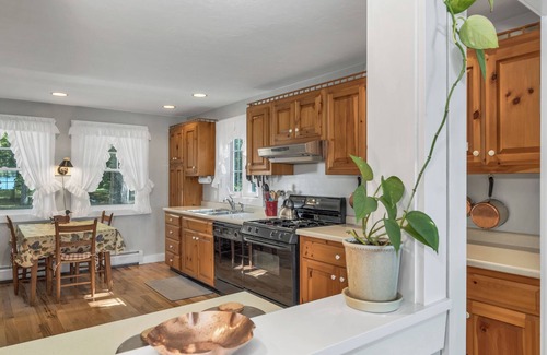 Moultonborough House | Desirable Senter Cove location