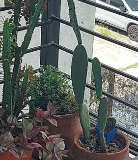 Villa Devoto Apartment | DEVOTO Studio Center