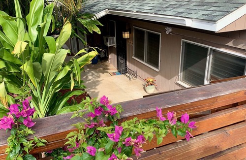 Diamond Head - Kapahulu - St. Louis Cottage | Diamond Head/Waikiki Surf Shack Lanai Unit
