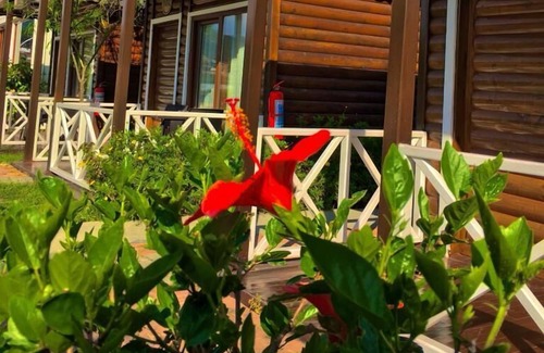 Seki Hotel | Diamond Lord Bungalow