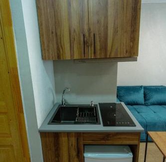 Bakuriani Apartment | Didveli Gallery B-110