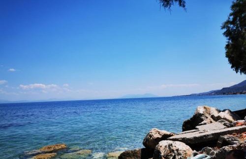 Evrostina Apartment | Dimos Apartments