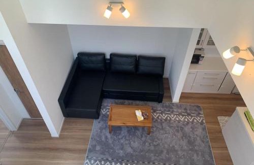 Nakano Apartment | Direct access to Shinjuku 1 station, atrium living room, super large entrance
