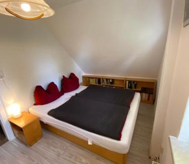 Oberwiesenthal Apartment | DIREKT AM SKIHANG! Müller Ferienwohnungen