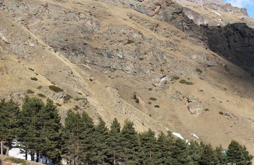 Terskol Hotel | Djan Tugan Hotel