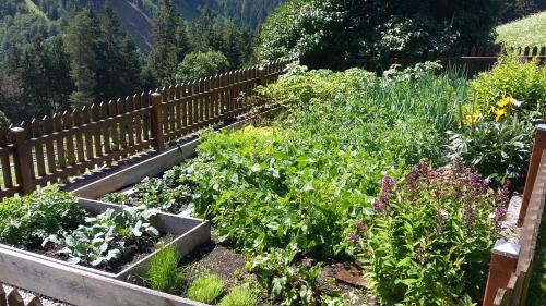 Neustift Im Stubaital House | Doadlerhof
