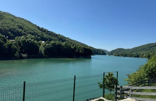 Valea Doftanei House | Doftana Lake House