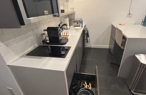 Aspen Apartment | Dog-friendly apartment in Aspen with EV Charger