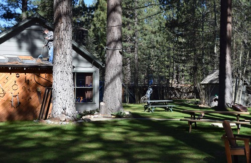 Bijou Park Cabin | Dog Friendly Cabins