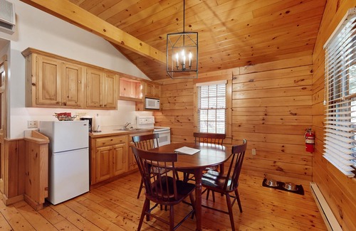 Northport Cabin | Dog-friendly cabin with firepit, kitchen, AC, & trails for your next escape