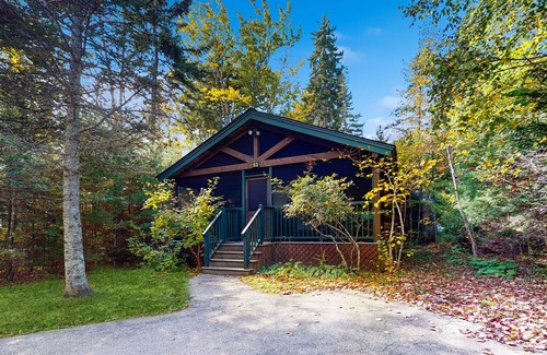 Northport Cabin | Dog-friendly cabin with firepit, kitchen, AC, & trails for your next escape