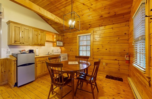 Northport Cabin | Dog-friendly cabin with wooded views, fireplace, AC near outdoor recreation