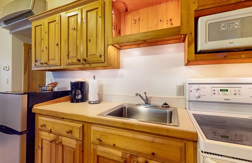 Northport Cabin | Dog-friendly cabin with wooded views, fireplace, AC near outdoor recreation