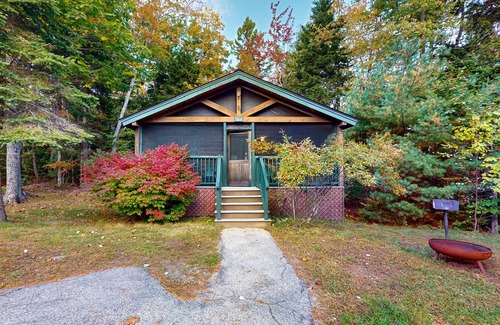 Northport Cabin | Dog-friendly cabin with wooded views, fireplace, AC near outdoor recreation