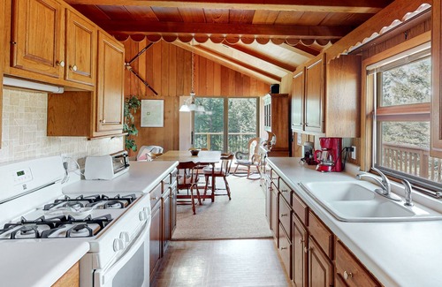 Lyons Cabin | Dog-friendly cabin with spacious deck, fireplace, & private W/D