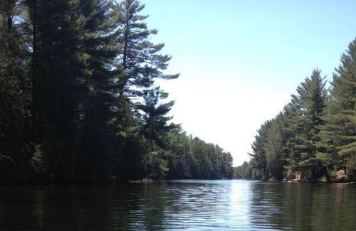 Norland House | Dog-friendly comfort in Cottage Country!