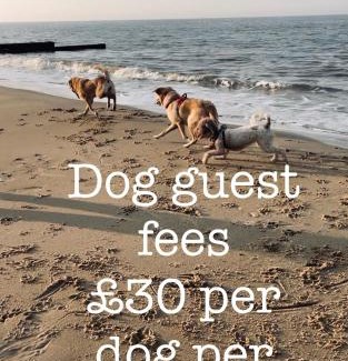 Irstead House | Dog friendly cottage 2 mins to beach with hot tub and Zappi EV