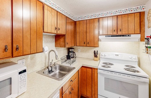 Stratton Mountain Condo | Dog-friendly cozy mountain condo with washer/dryer - minutes from slopes