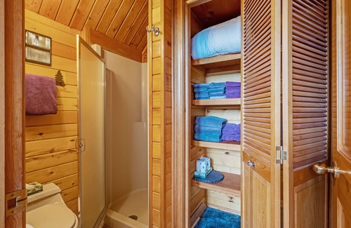 Pagosa Springs Cabin | Dog friendly log cabin with mountain views and hot tub