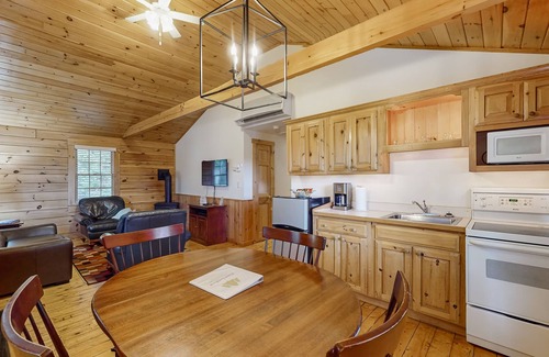 Northport Cabin | Dog-friendly nature lovers retreat with fireplace, WiFi, AC & playground