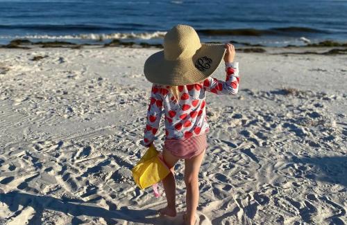 Alligator Point House | Dog Friendly-Short Walk to Beach-Canal Front-Screened Porch-Peaceful