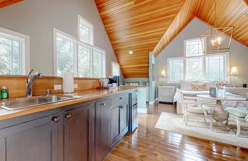 Wolfeboro Apartment | Dog-friendly studio with kitchenette, W/D, firepit, & hot tub access