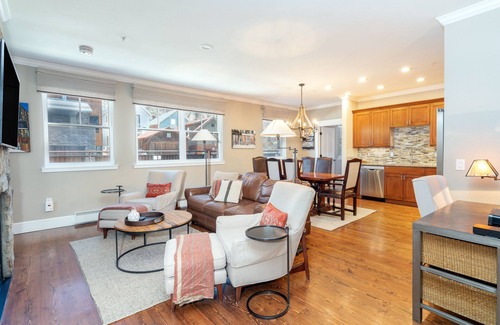 Telluride Condo | Dog-Friendly Two-Bedroom Private Residence With Luxurious Amenities