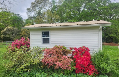 Anderson Cabin | Dog Park Cabin on 2 acres w dog daycare