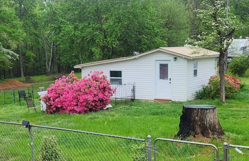 Anderson Cabin | Dog Park Cabin on 2 acres w dog daycare