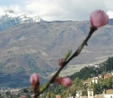 Rovereto Bed & Breakfast | DOLCE DORMIRE