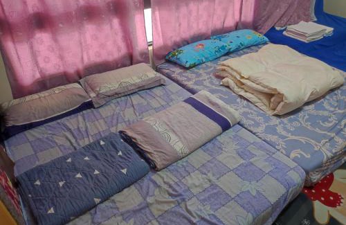 Gongtouli Bed & Breakfast | Dolphin Castle