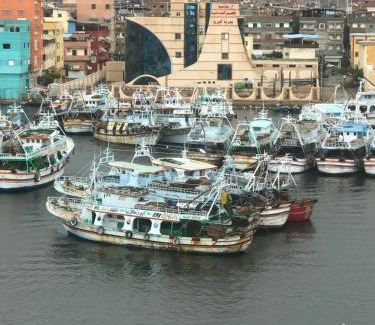 Ras El Bar Hotel | Dolphin Ras El-Bar Hotel