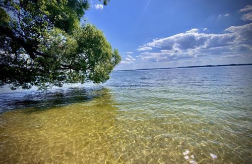 Wegorzewo House | Dom na Mazurach dla kilku rodzin! Jedyny taki! HACIENDA