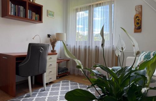 Ochotnica Gorna Ski Chalet | Dom Ochotnica