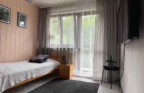 Ochotnica Gorna Ski Chalet | Dom Ochotnica