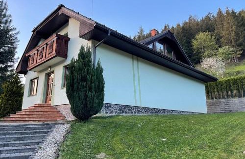 Povina Villa | Dom pod Stenami