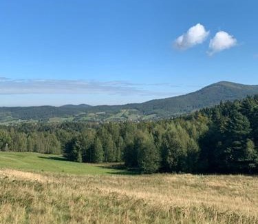 Rzyki Apartment | Dom Wakacyjny Gajówka z ogrodem i jacuzzi do stoku 2km