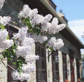 Saint-Pierre-de-l'lle-d'Orleans Bed & Breakfast | Domaine Steinbach Cidrerie B&B Distillerie