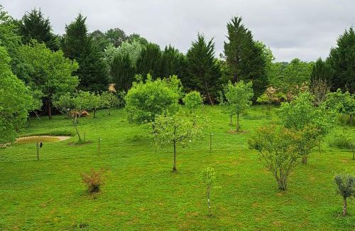 Pouillon House | Domaine Baraque